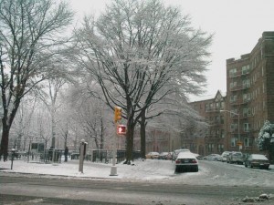 081219 snowy friday 300x225