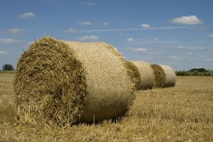hay roll